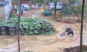 水中摔倒老人家属回应民警被免职：公开视频不是为了要处理谁，挖排水沟后家门口积水已退