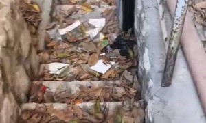 对话留守以色列的中国人：因薪资丰厚未撤离，每天向家人报平安