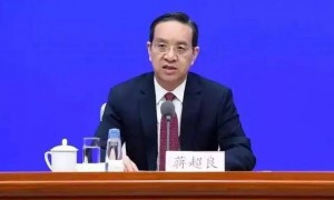 蒋超良，被提请罢免